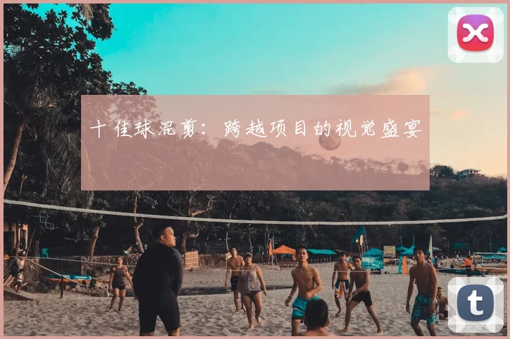 十佳球混剪:跨越项目的视觉盛宴