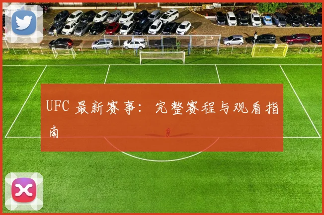 UFC 最新赛事：完整赛程与观看指南